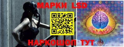 гашик Донской