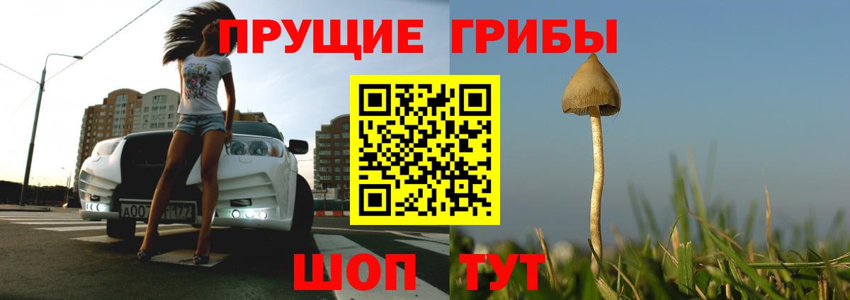 Галлюциногенные грибы Psilocybe Люберцы
