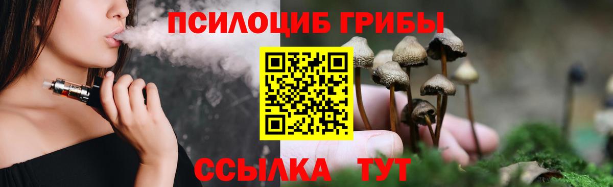 Галлюциногенные грибы Cubensis  Вход с VPN  Люберцы 
